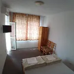 Zlatevi Guest house 3*